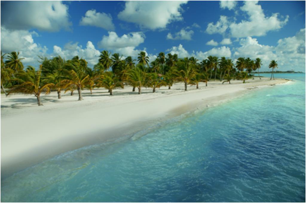 Del Mar By Joy Resorts - Intimate Ocean Front Retreat - Cap Cana Dış mekan fotoğraf