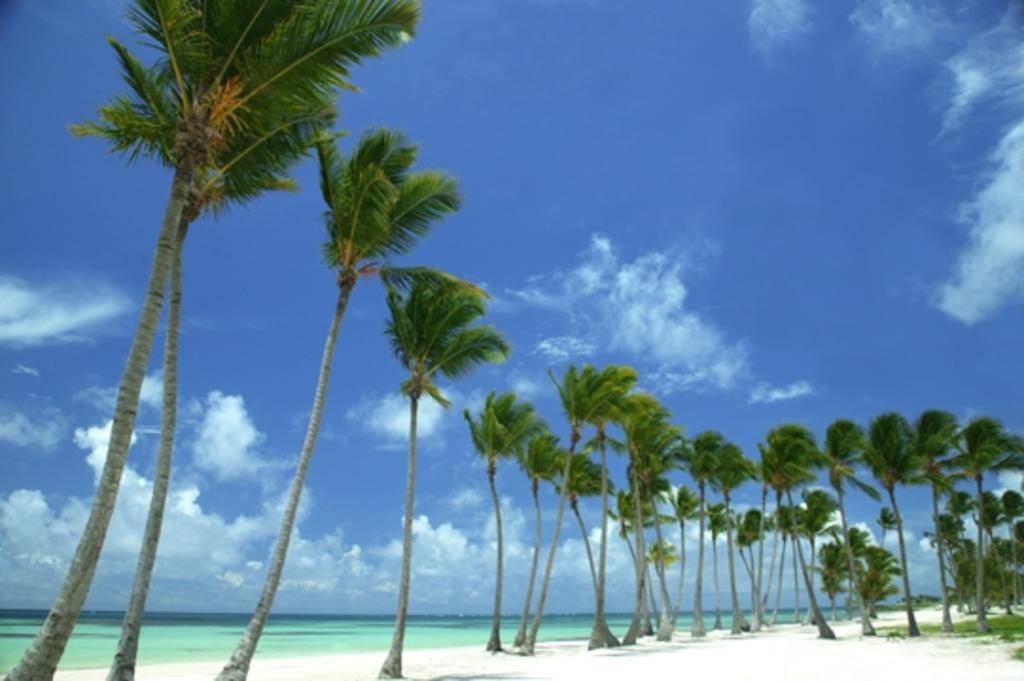 Del Mar By Joy Resorts - Intimate Ocean Front Retreat - Cap Cana Dış mekan fotoğraf